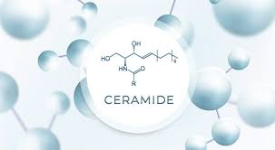 Ceramides