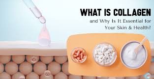 Collagen